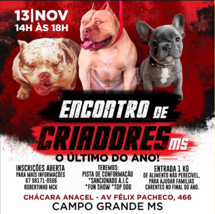 Evento Novembro 2022 8